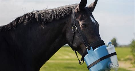 Flexineb: De Vernevelaar voor je Paard .